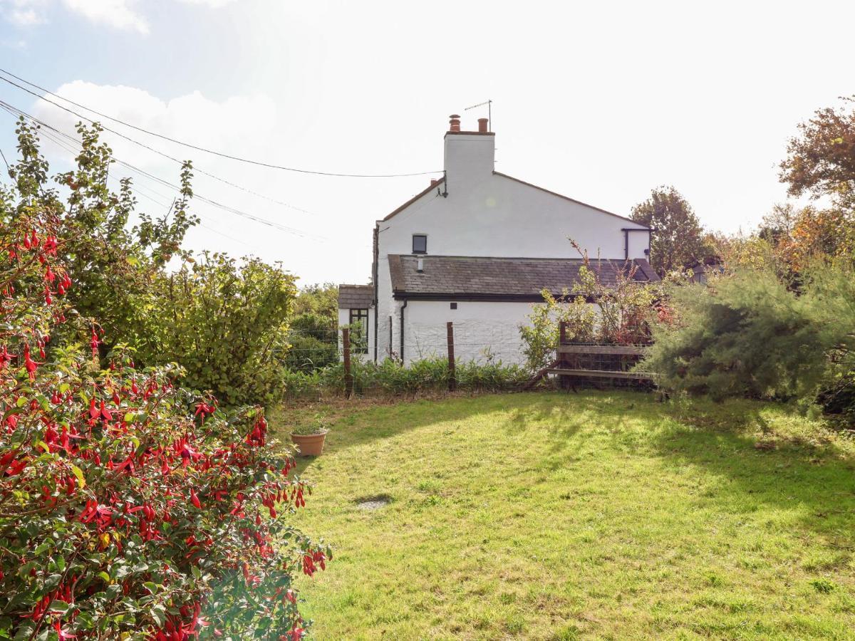 3 Penllan Cottages 霍利韦尔 外观 照片